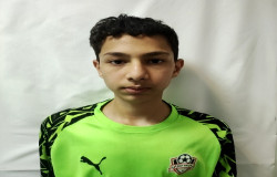 امیرعلی فراهانی