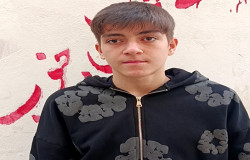 امیر رضا باغ آرا