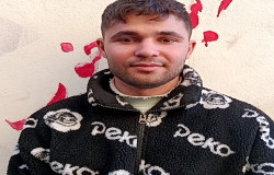 محمدرضا حسین جانی