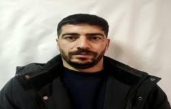 سعید فولادی ثمرین