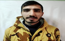 حامد تنهایی