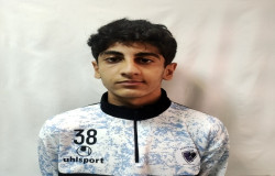 آرتا ربیع زاده