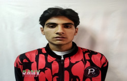 آرتین ملکی