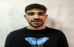 محمد مهدی اناری