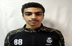 محمد طاها حسنی