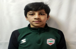 محمد طاها پروانه