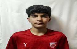 ایلیا حاضردستان