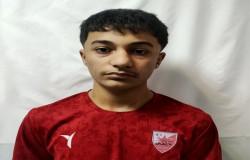 آرشام رزمجو