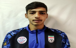 محمدمهدی شرکائی