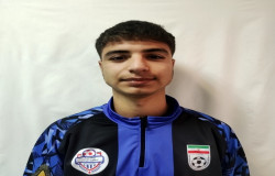 محمد امین رفعتی