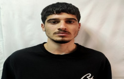 آرتا هوشمندزاده