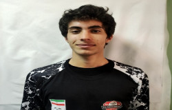 حسین مهدوی