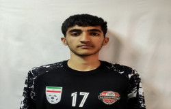 هادی ایمانی احمد آبادی