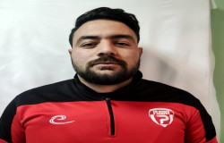علی نجفی