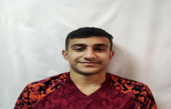 محمدپارسا رسولی