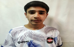 محمد حسین مرادی
