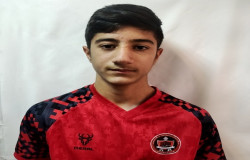 هامون جعفری