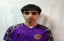 محمد ذولفقاری