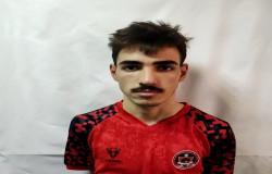 شایان محمدی نسب