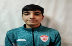 آریا شهرابی