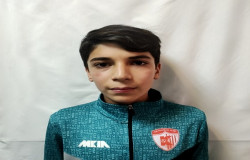 ایلیا حبیب پور ولوکلائی