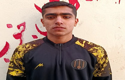 حمیدرضا شرفی