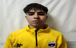 طاها ولایتی