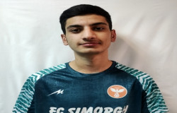 فواد خورگامی