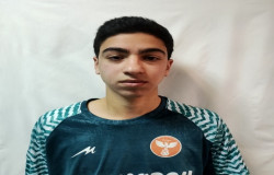 َعلي وفايي