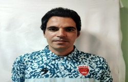 رضا مینا خانی