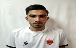 ابوالفضل محمدی وصف گر