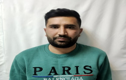 علی سلامی