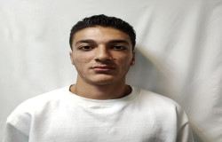 مهدی فرهنگ دهقان