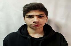 پارسا پاشائی