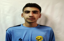 محمدرضا اسکندری