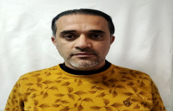 علی فرمانی