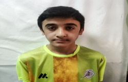 پارسا علیمحمد ی اینلو