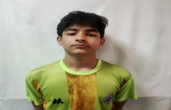 رادین نصیری اردبیلی