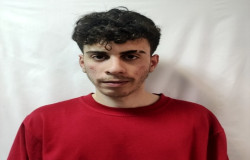 سیدنوید عمادی