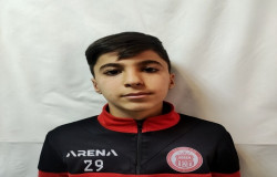 آرتین عرب