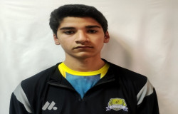 رضا ملک آذری