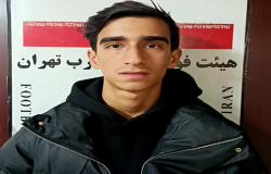 محمدمهدی طریقی