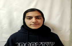 مانلی کریمی