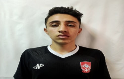 امیر علی سلطان محمدی