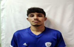 آریا سیفی