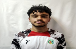 پوریا فیضی