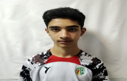 مهراد ناصری