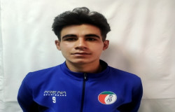 محمدرضا میرزائی سرگل
