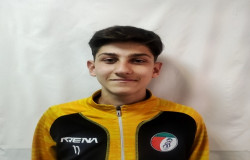 مهدی وفادار