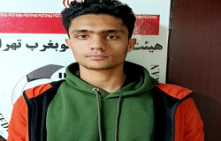 امیرحسین شاهواروقی